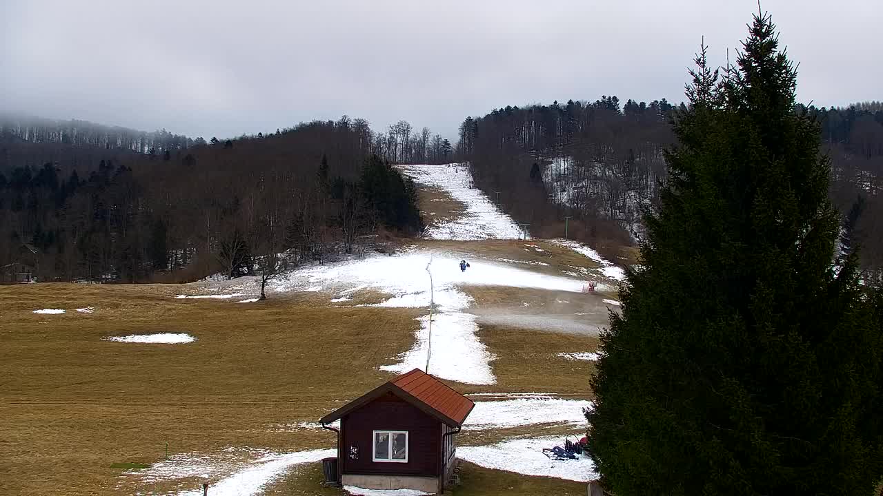 Web kamera Lokve – Ljepota Trnovske šume