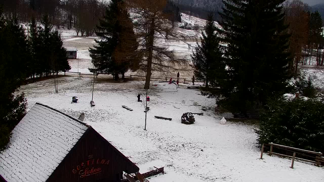 Webcam Loqua / Lokve – La bellezza della selva di Tarnova