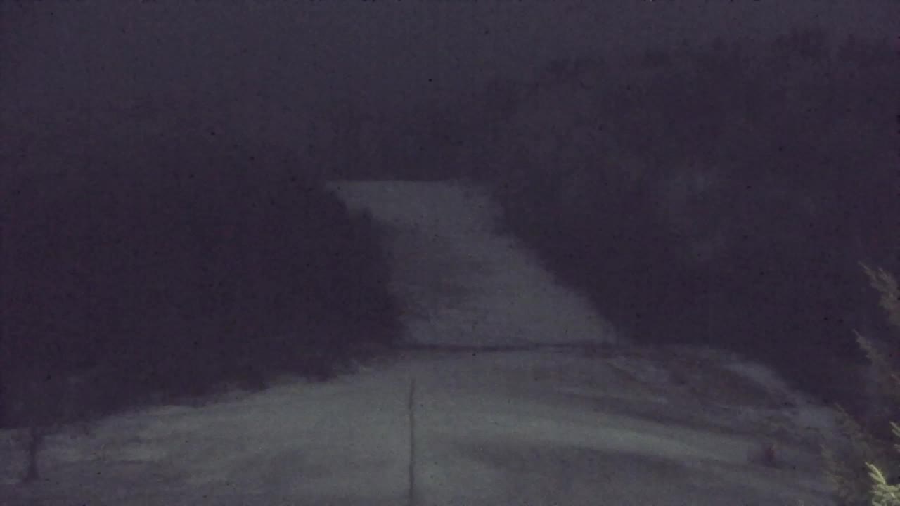 Webcam Loqua / Lokve – La bellezza della selva di Tarnova