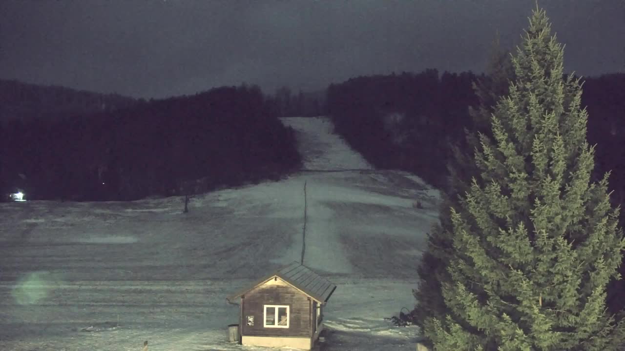 Camera en vivo Lokve – La belleza del bosque de Trnovo