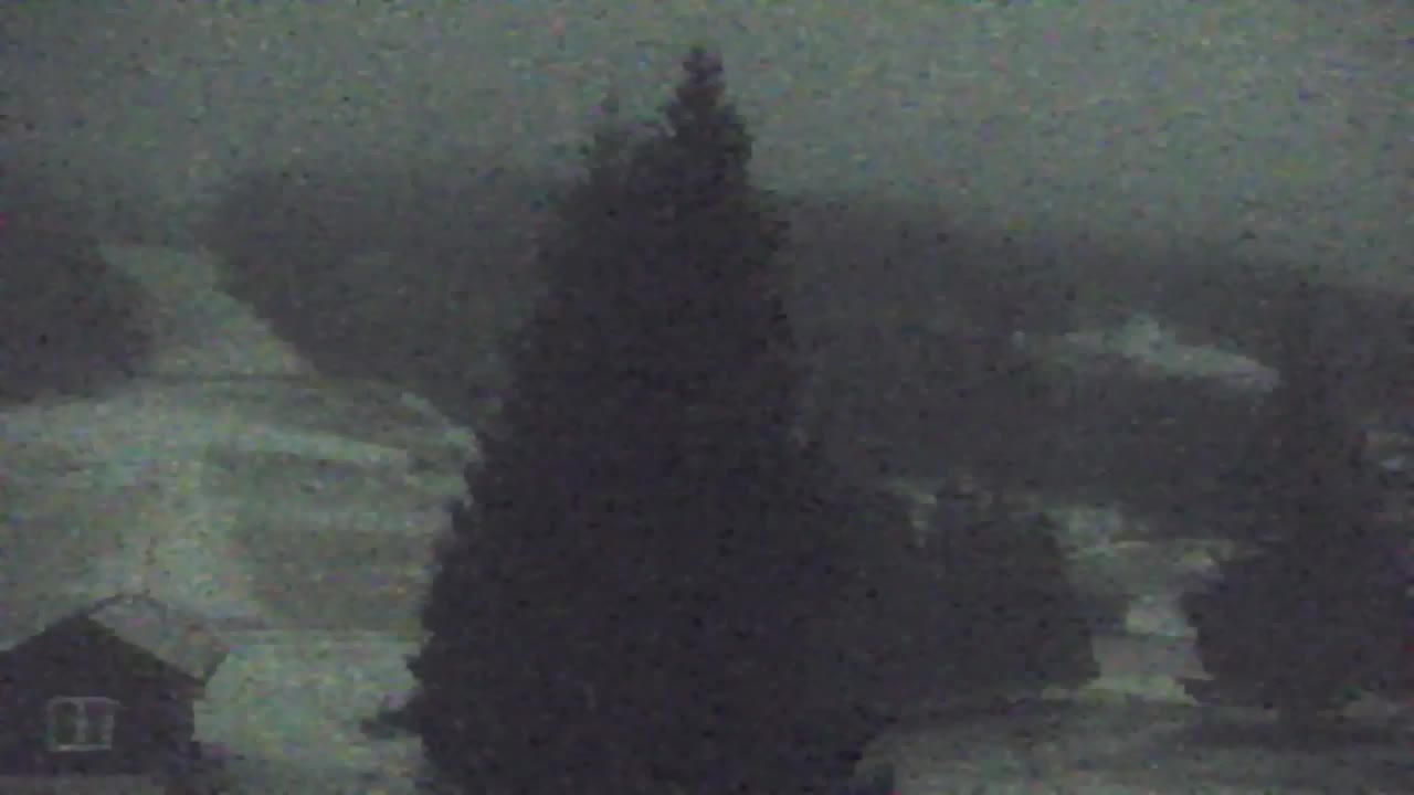 Camera en vivo Lokve – La belleza del bosque de Trnovo