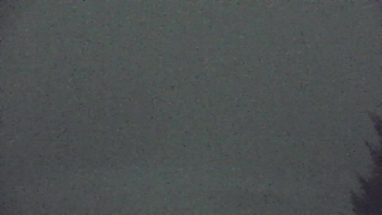 Camera en vivo Lokve – La belleza del bosque de Trnovo