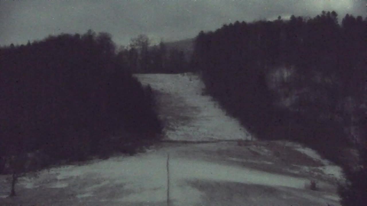 Web kamera Lokve – Ljepota Trnovske šume