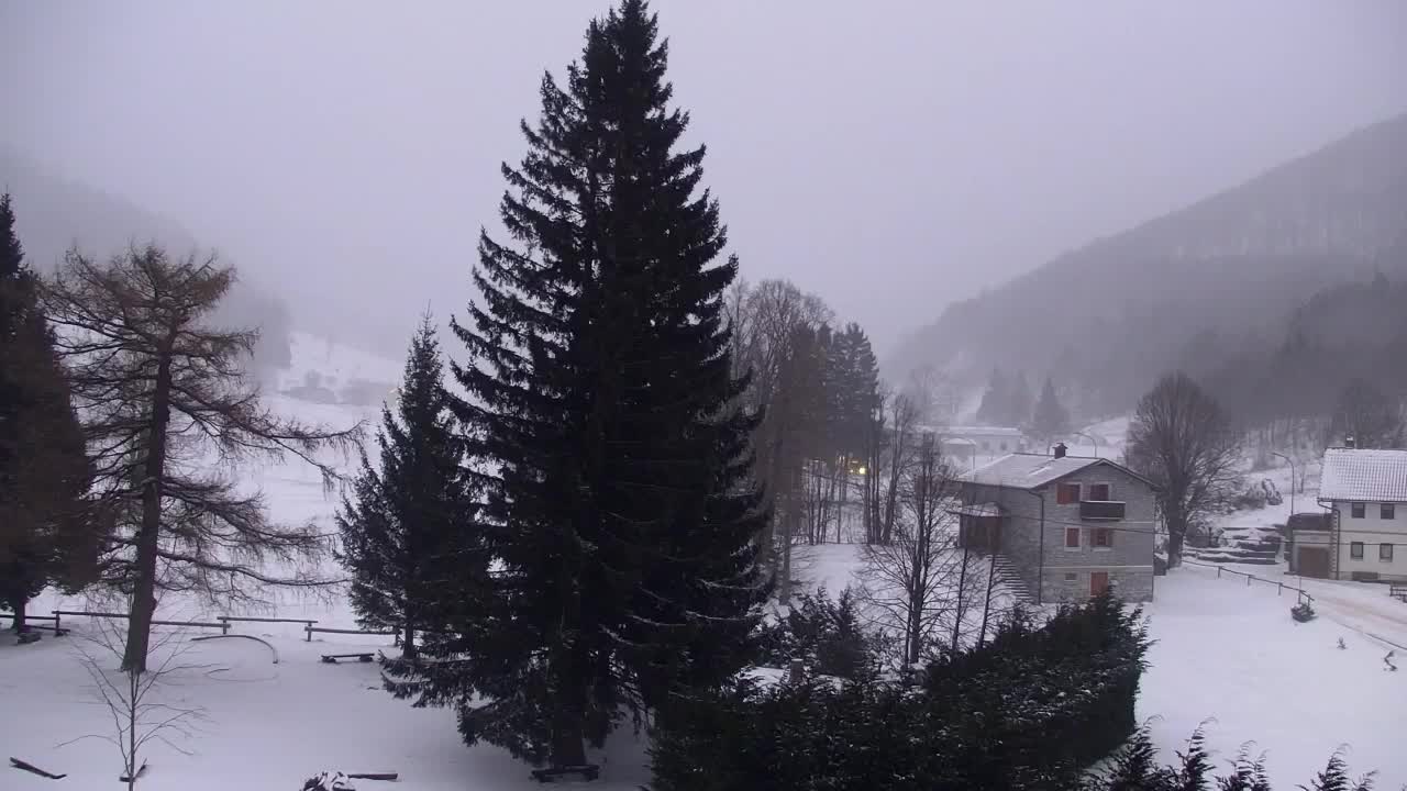 Web kamera Lokve – Ljepota Trnovske šume