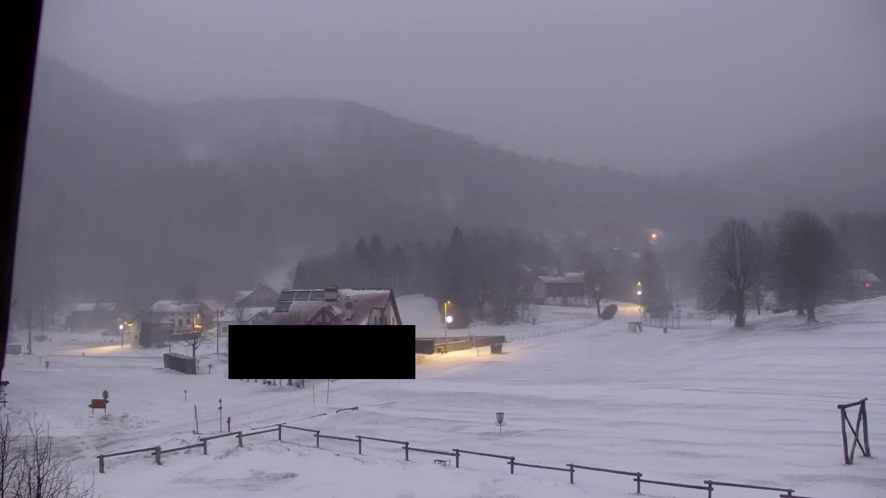 Webcam Lokve – Die Schönheit des Trnovo-Waldes