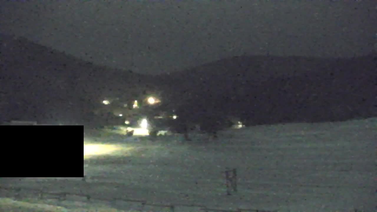 Webcam Loqua / Lokve – La bellezza della selva di Tarnova