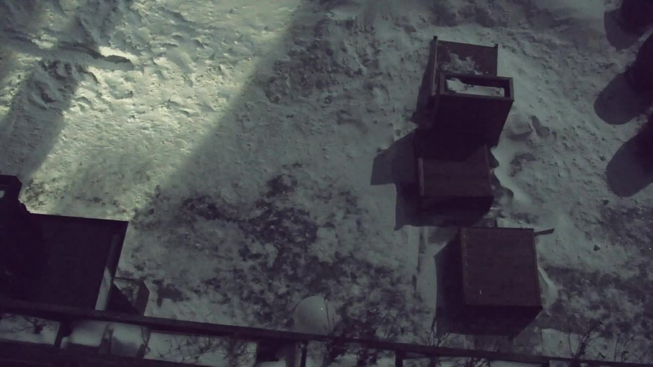 Webcam Lokve – The beauty of the Trnovo forest