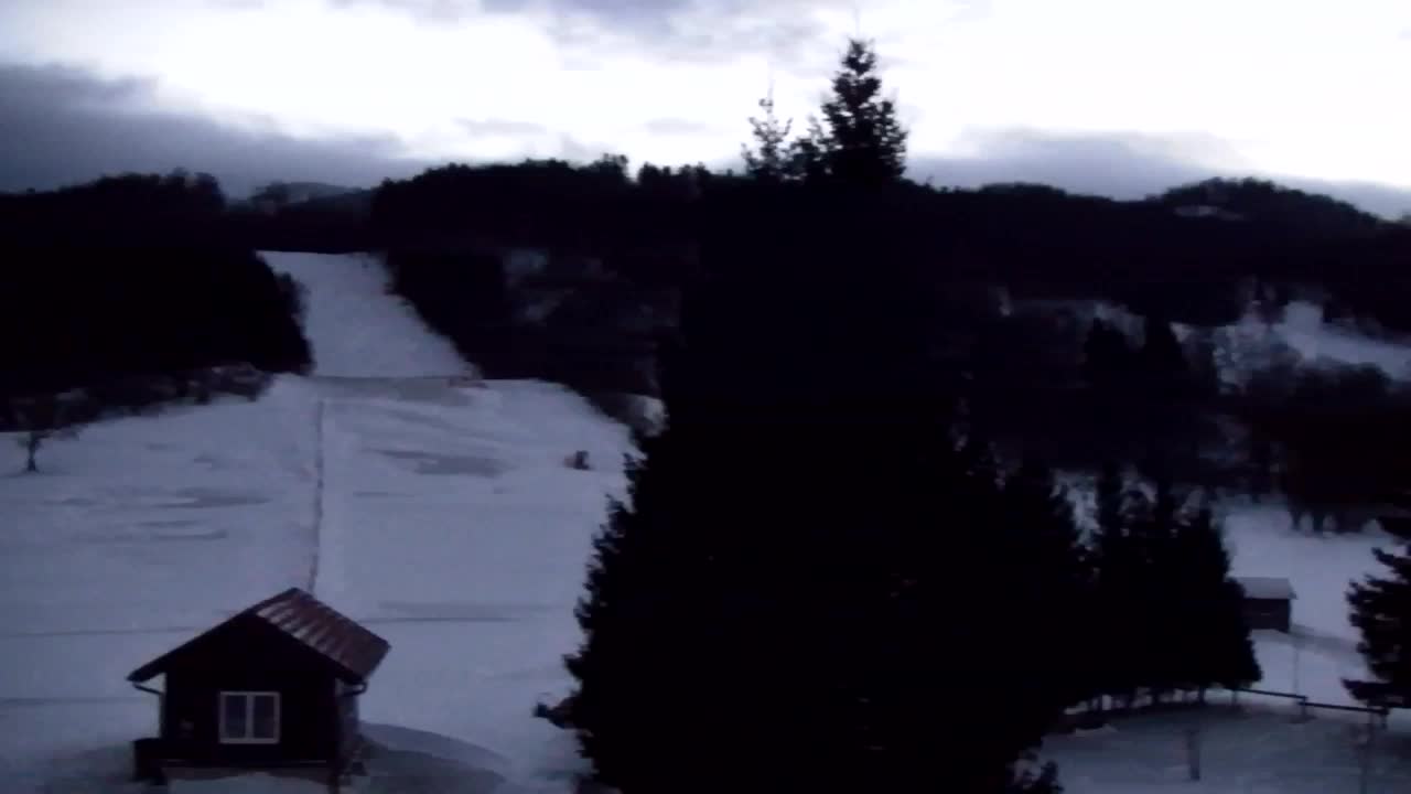 Webcam Lokve – The beauty of the Trnovo forest