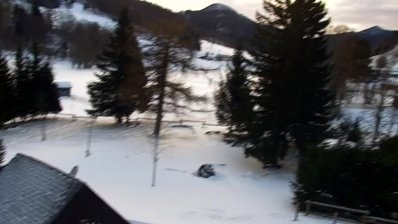 Webcam Loqua / Lokve – La bellezza della selva di Tarnova