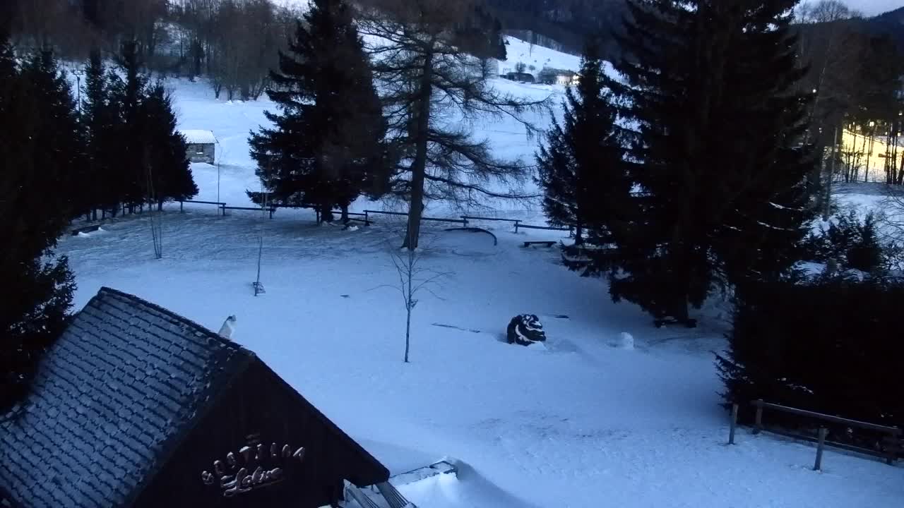 Webcam Loqua / Lokve – La bellezza della selva di Tarnova