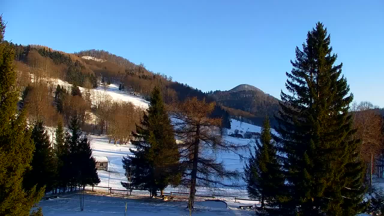 Webcam Lokve – La beauté de la forêt de Trnovo