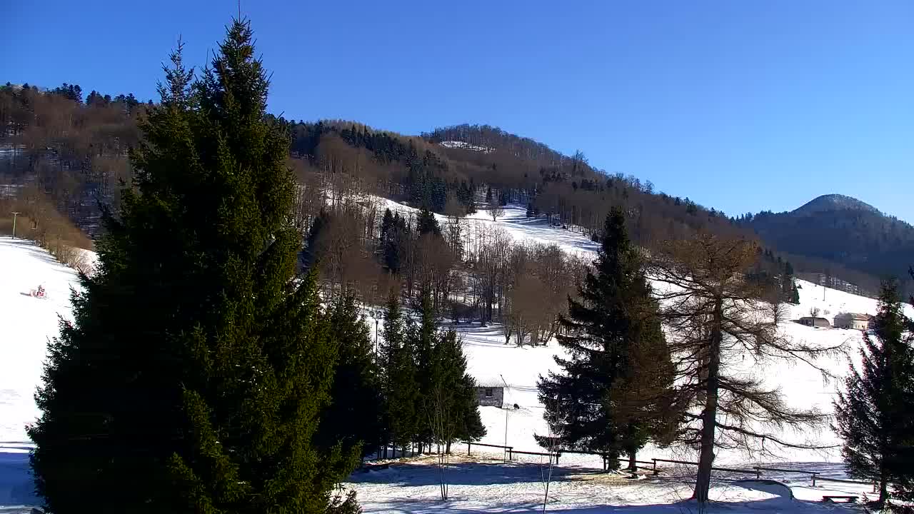 Webcam Lokve – The beauty of the Trnovo forest