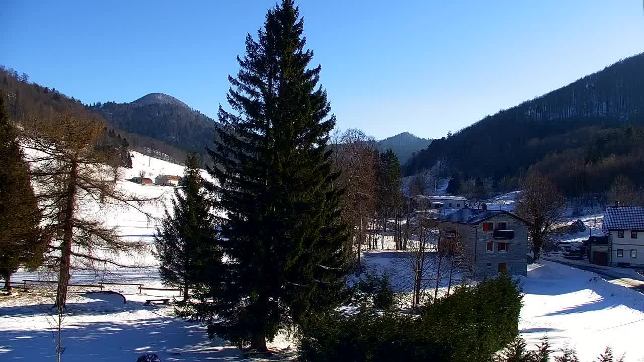 Lokve kamera – Naravne lepote Trnovskega gozda