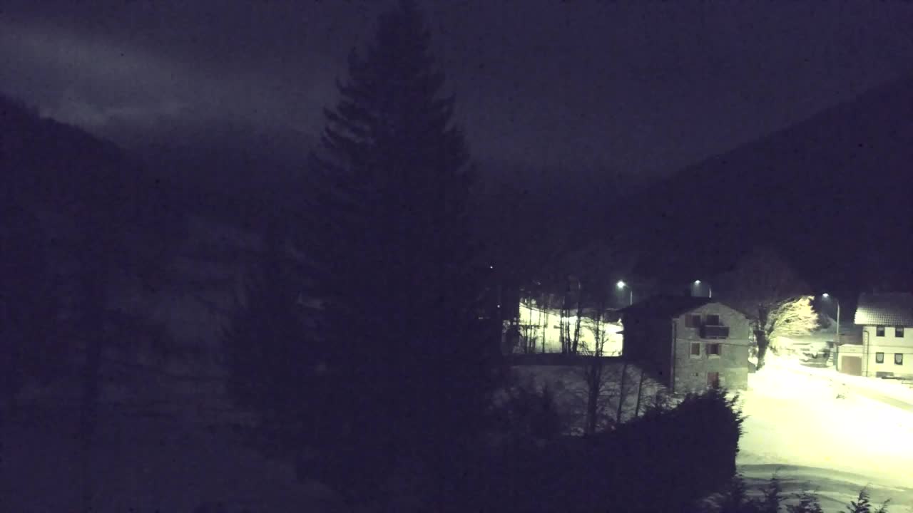 Webcam Lokve – The beauty of the Trnovo forest