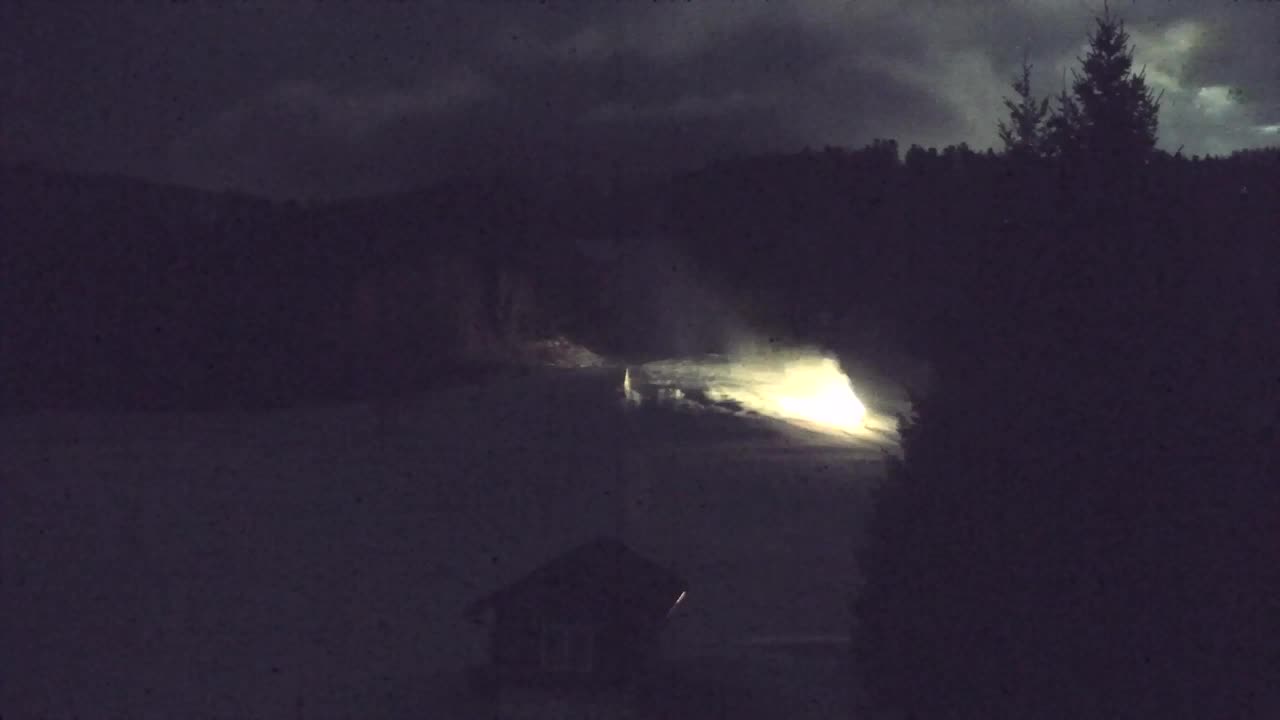 Webcam Loqua / Lokve – La bellezza della selva di Tarnova