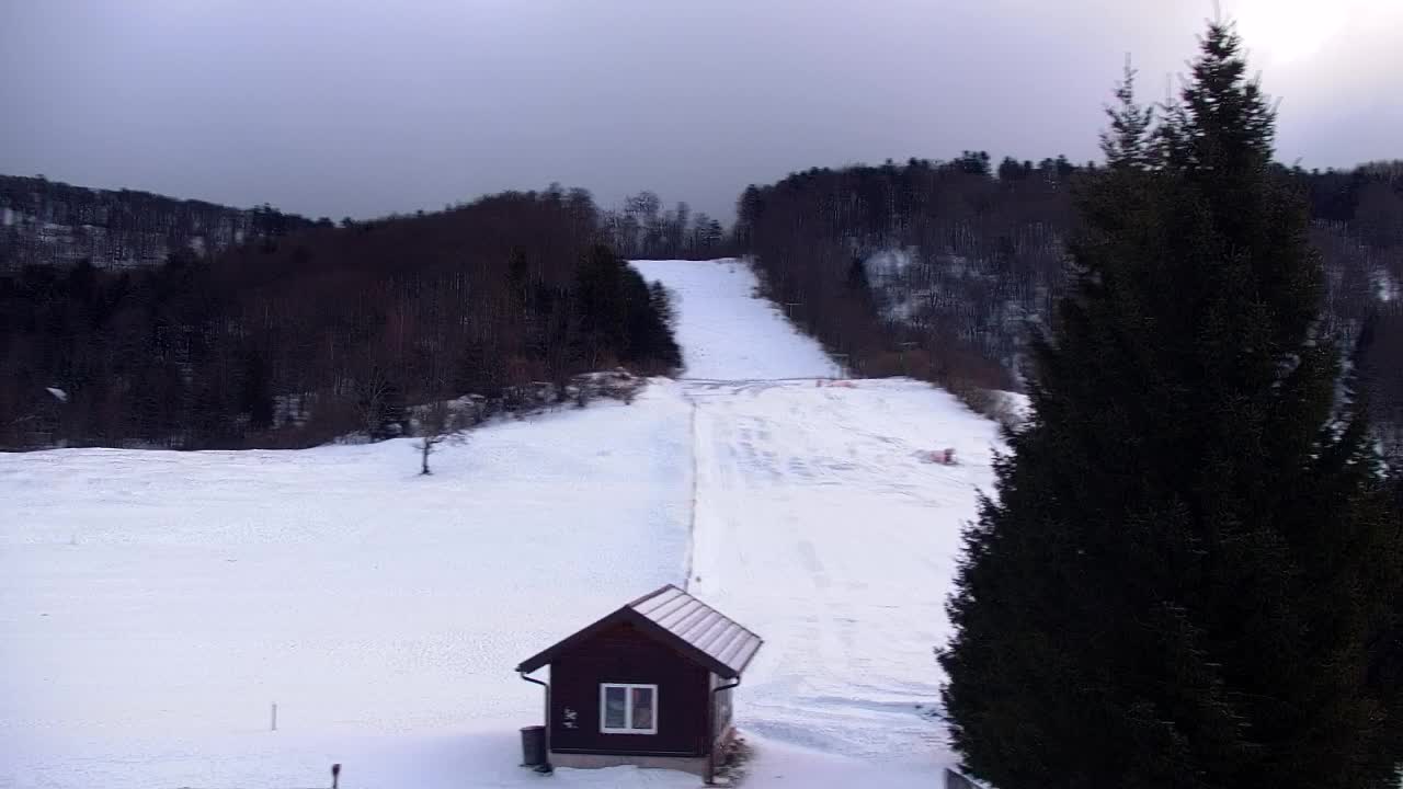 Web kamera Lokve – Ljepota Trnovske šume