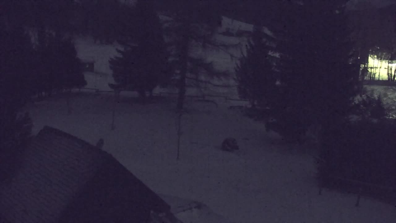 Camera en vivo Lokve – La belleza del bosque de Trnovo