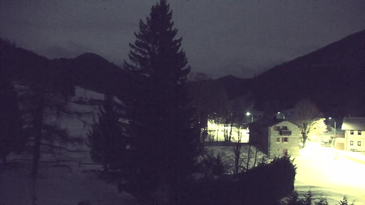 Webcam Lokve – La beauté de la forêt de Trnovo