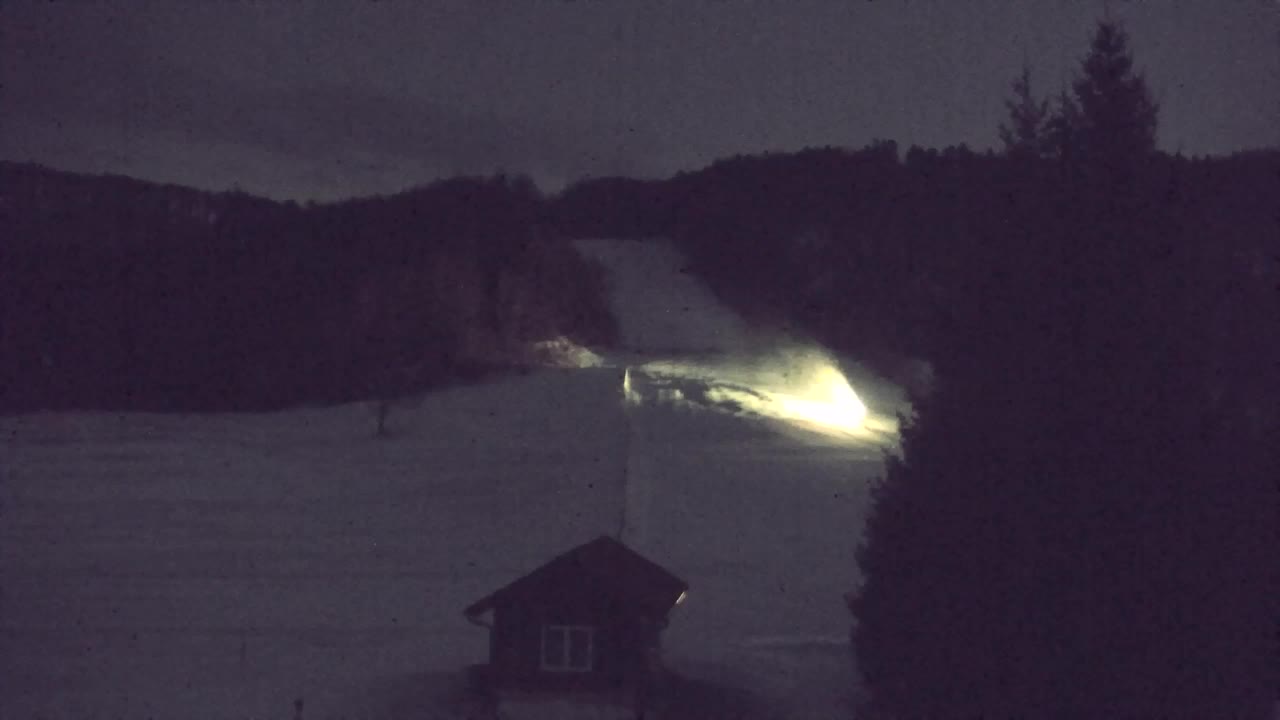 Webcam Lokve – Die Schönheit des Trnovo-Waldes