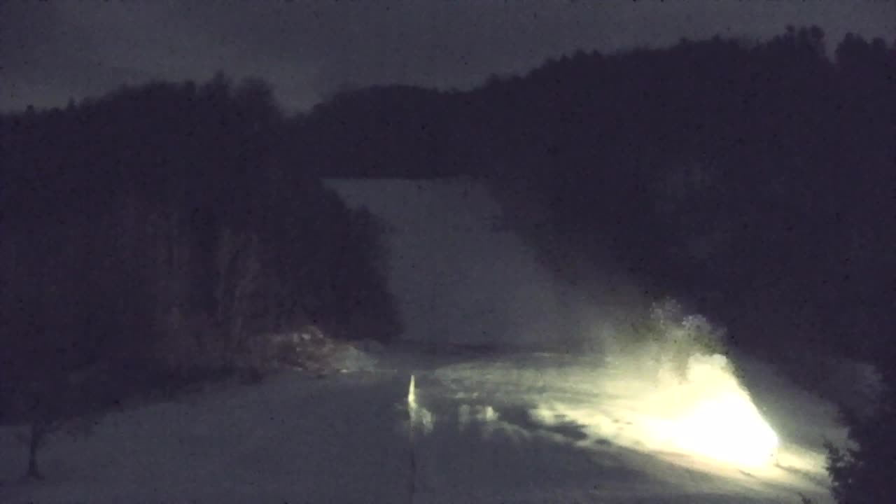 Webcam Lokve – The beauty of the Trnovo forest