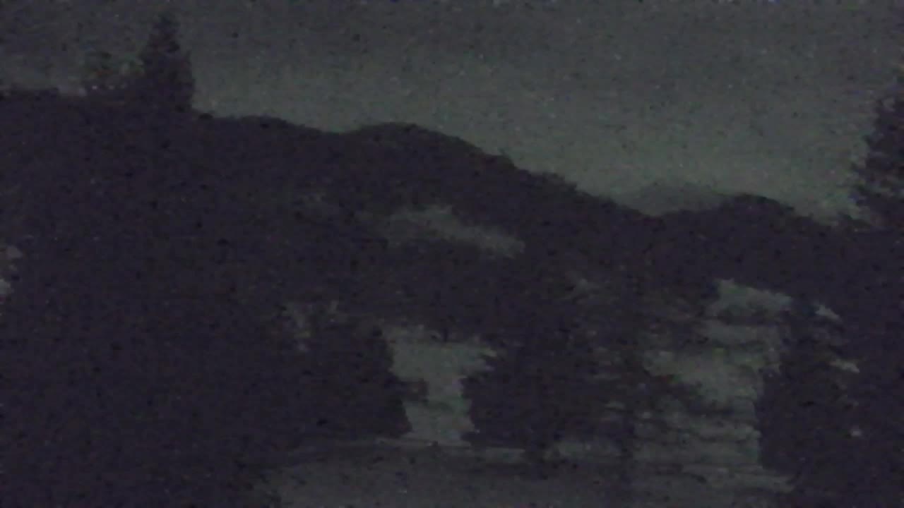 Web kamera Lokve – Ljepota Trnovske šume