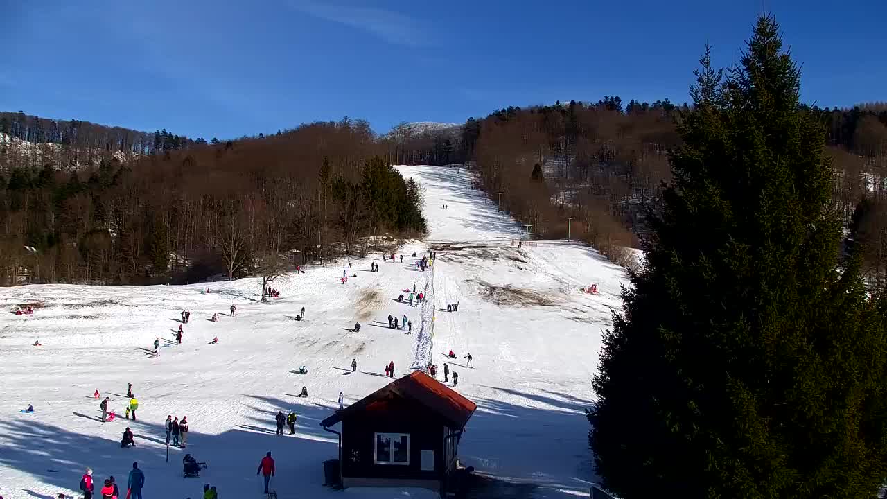 Webcam Lokve – The beauty of the Trnovo forest