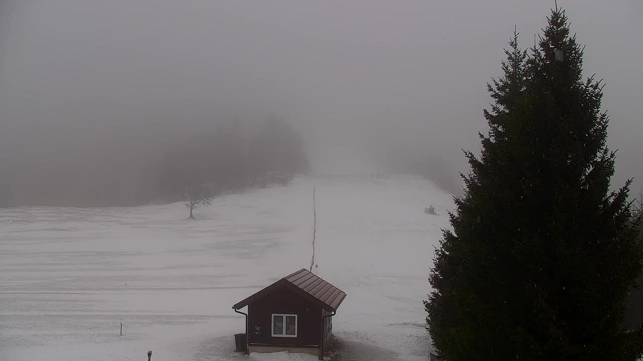 Lokve kamera – Naravne lepote Trnovskega gozda