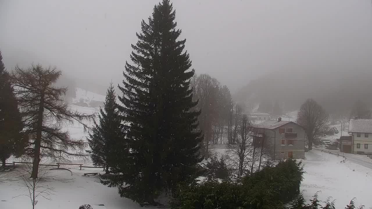 Lokve kamera – Naravne lepote Trnovskega gozda