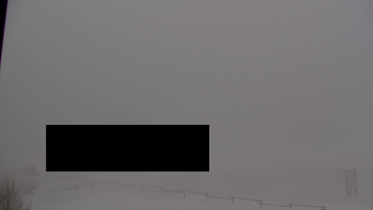 Webcam Lokve – La beauté de la forêt de Trnovo