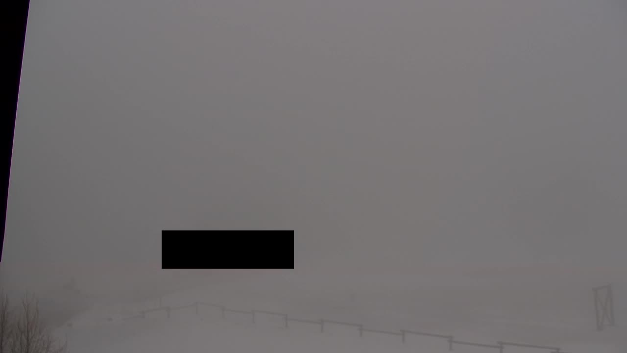 Web kamera Lokve – Ljepota Trnovske šume