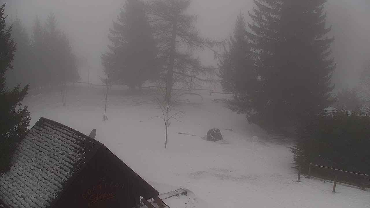 Webcam Lokve – La beauté de la forêt de Trnovo