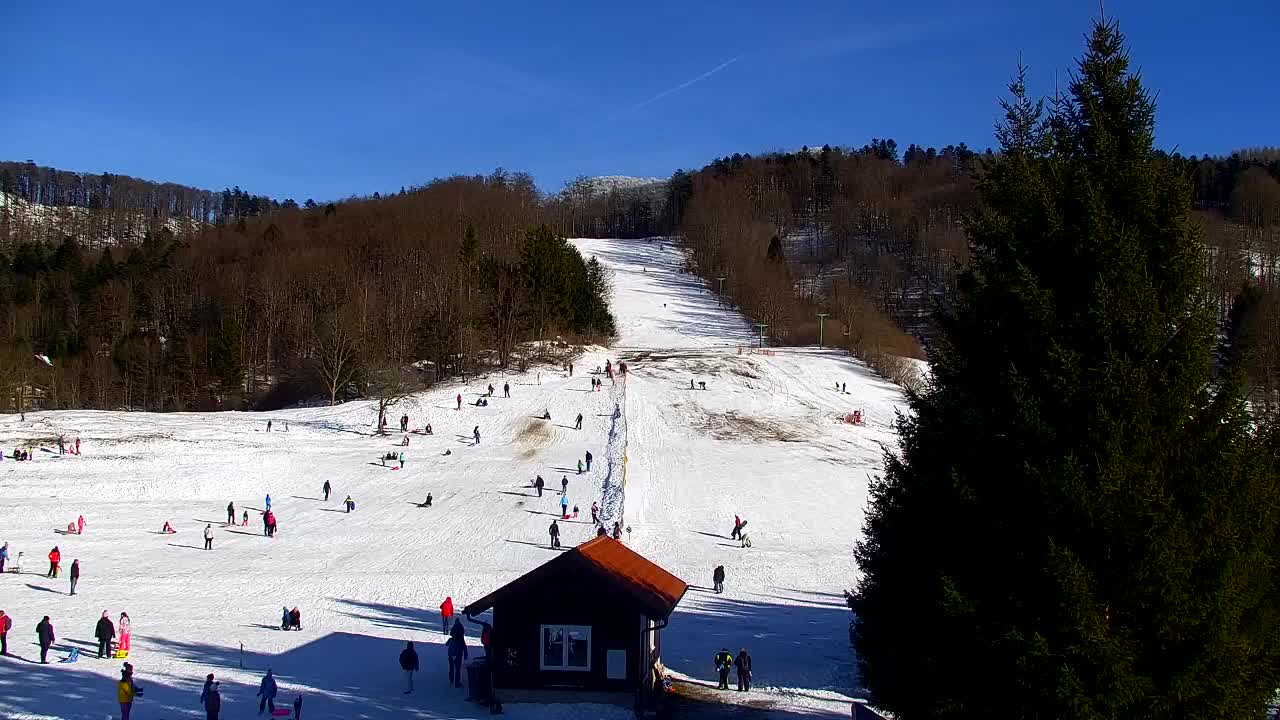 Webcam Lokve – Die Schönheit des Trnovo-Waldes