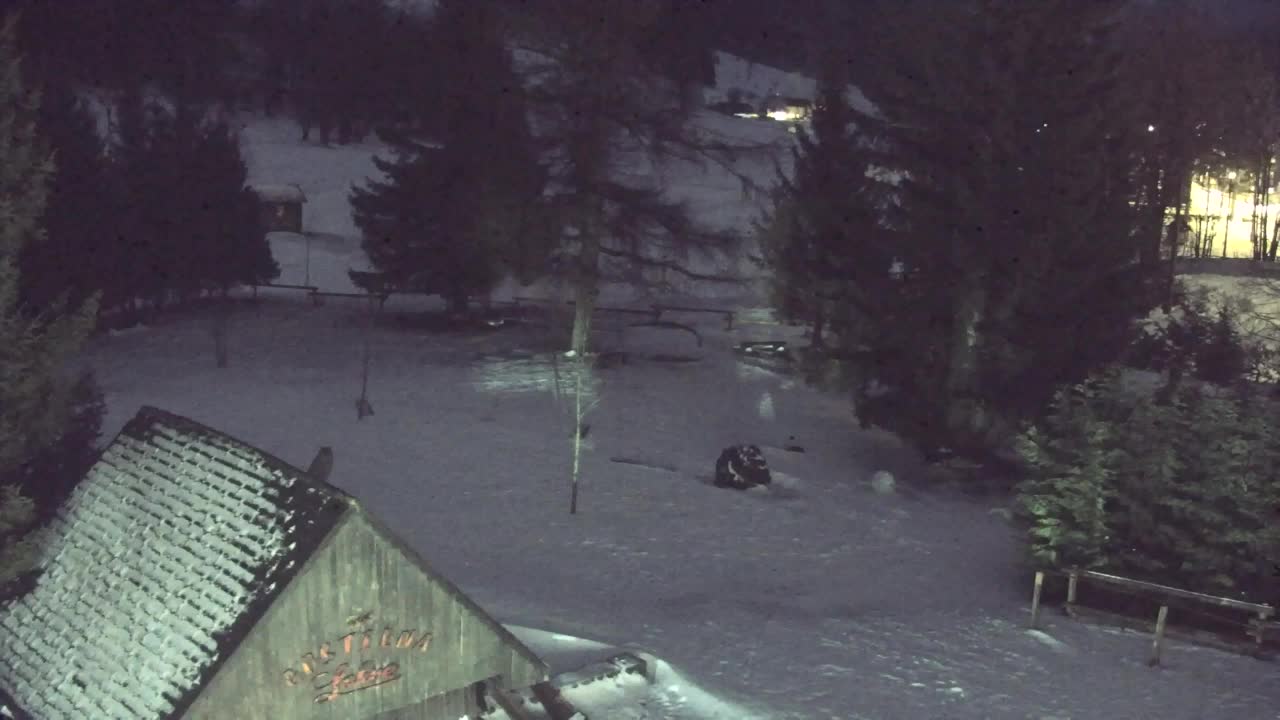 Lokve kamera – Naravne lepote Trnovskega gozda