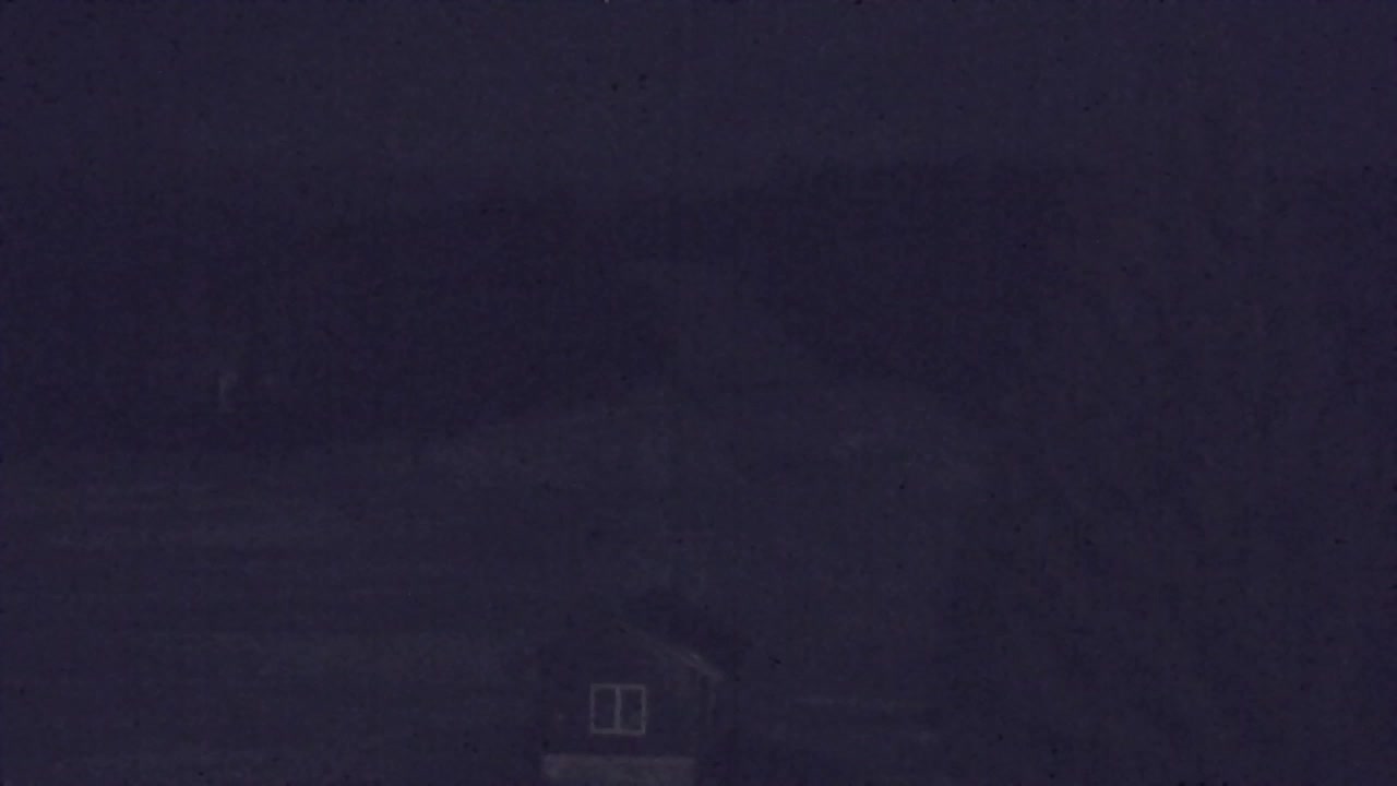 Webcam Lokve – La beauté de la forêt de Trnovo