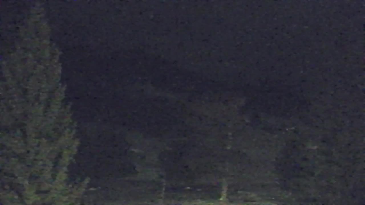 Camera en vivo Lokve – La belleza del bosque de Trnovo