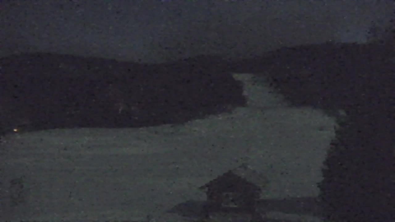 Webcam Lokve – La beauté de la forêt de Trnovo