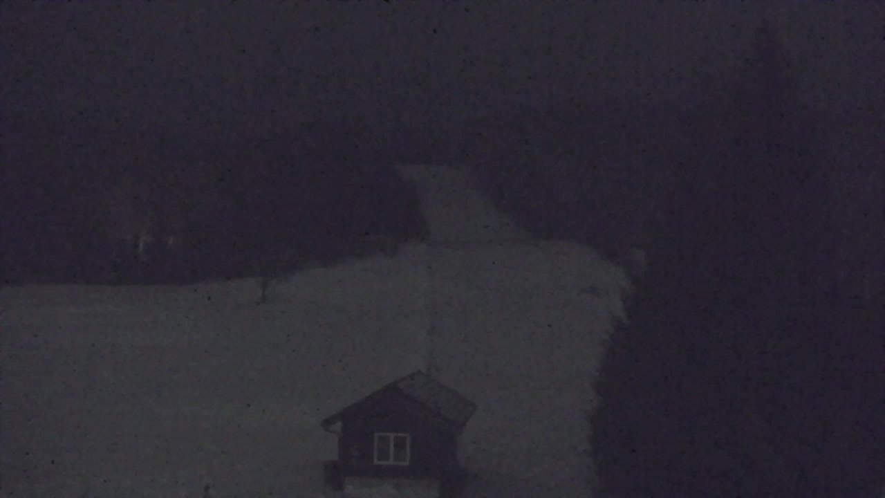 Lokve kamera – Naravne lepote Trnovskega gozda