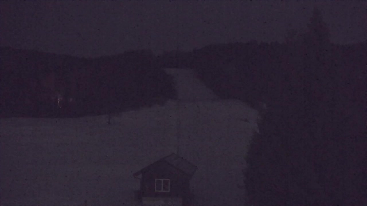 Webcam Loqua / Lokve – La bellezza della selva di Tarnova