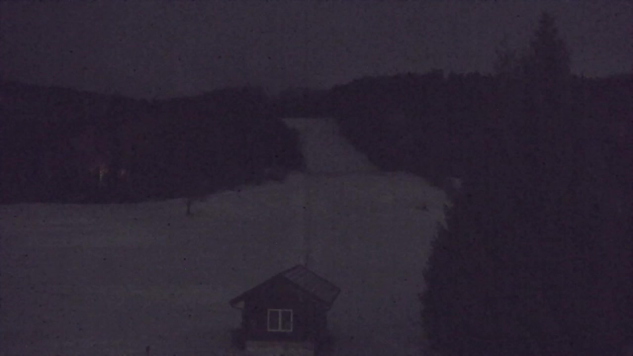 Webcam Lokve – La beauté de la forêt de Trnovo