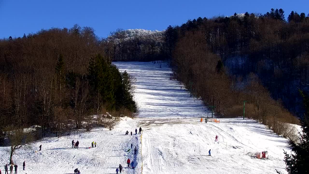 Lokve kamera – Naravne lepote Trnovskega gozda