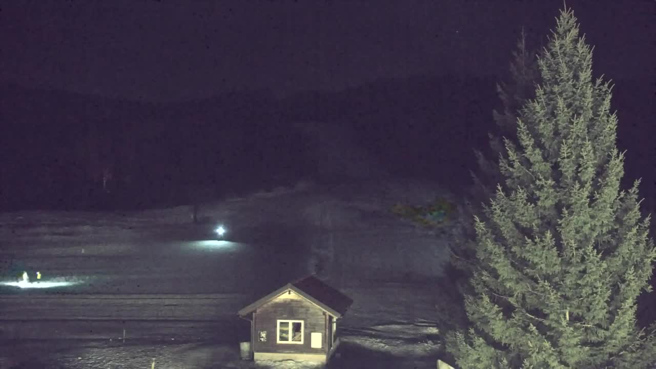 Webcam Loqua / Lokve – La bellezza della selva di Tarnova