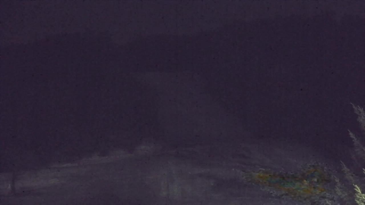 Webcam Loqua / Lokve – La bellezza della selva di Tarnova