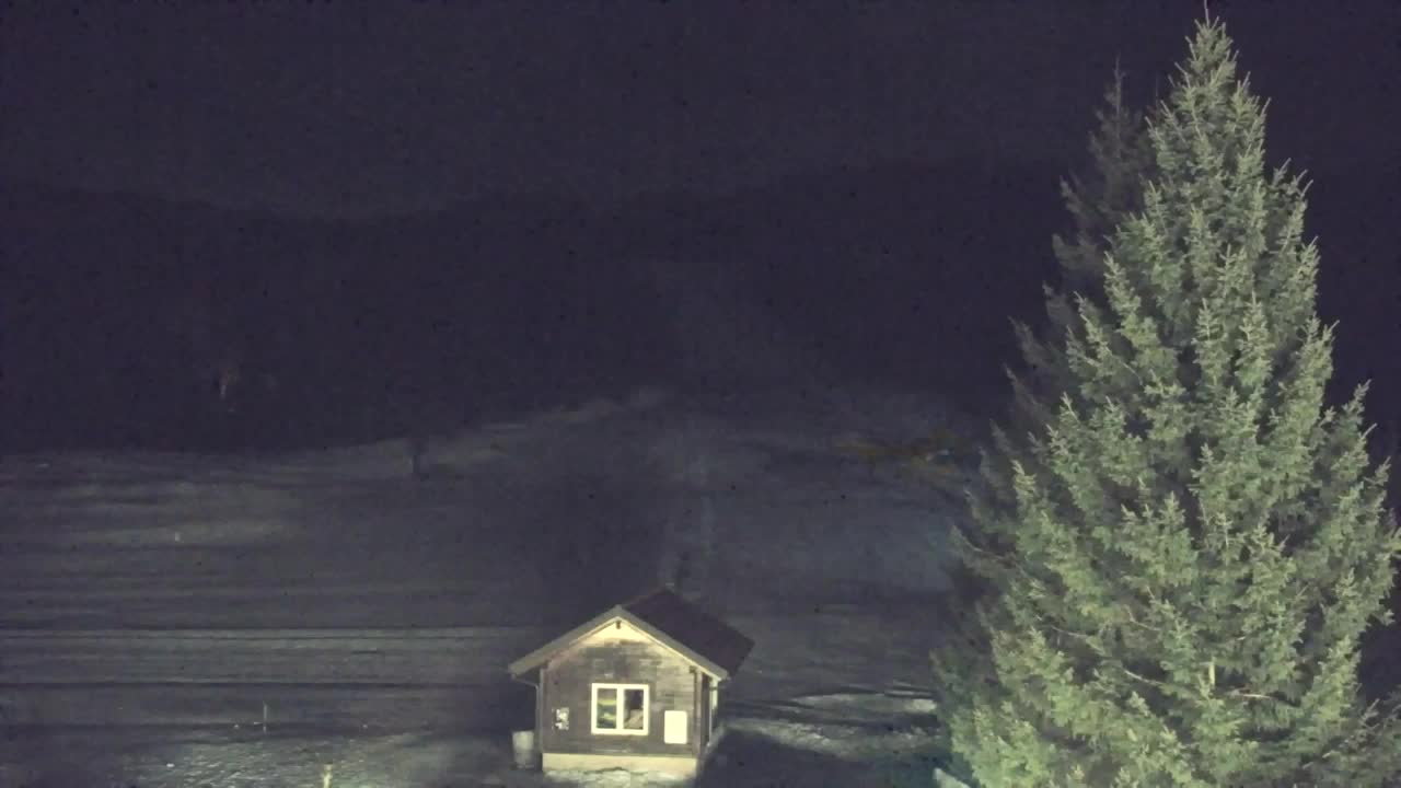 Webcam Lokve – The beauty of the Trnovo forest