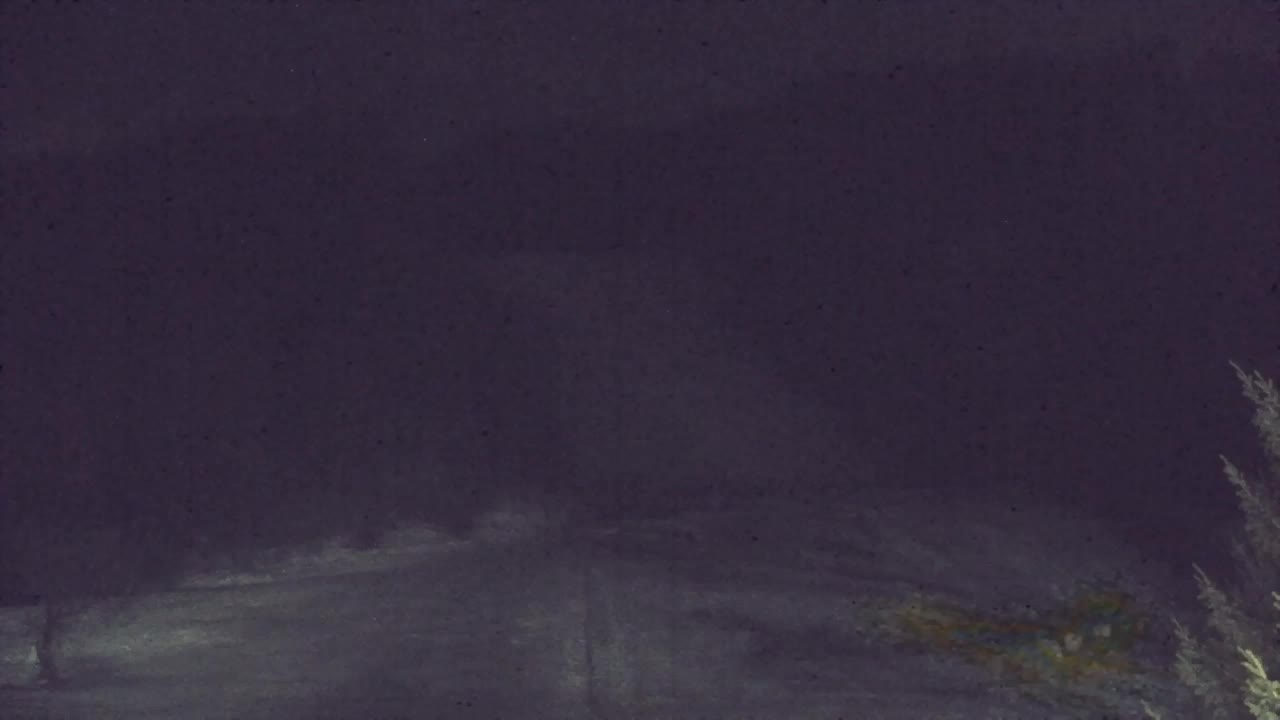 Lokve kamera – Naravne lepote Trnovskega gozda