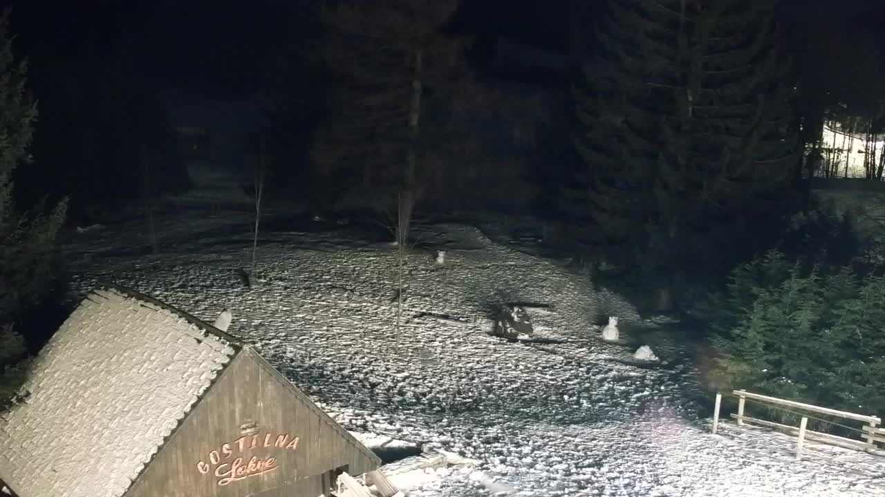 Webcam Lokve – Die Schönheit des Trnovo-Waldes