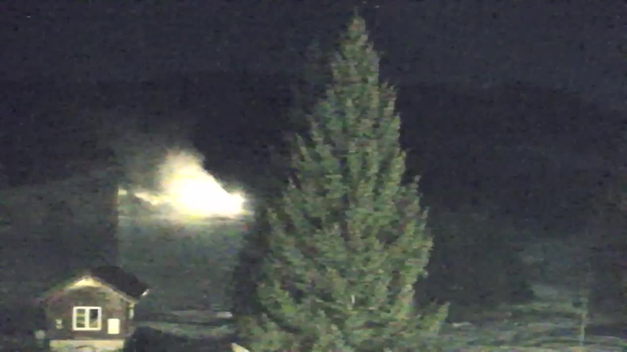 Webcam Lokve – La beauté de la forêt de Trnovo