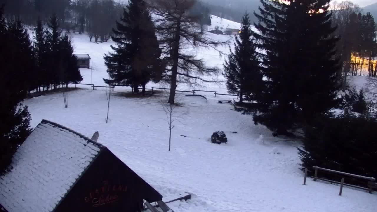 Webcam Lokve – The beauty of the Trnovo forest