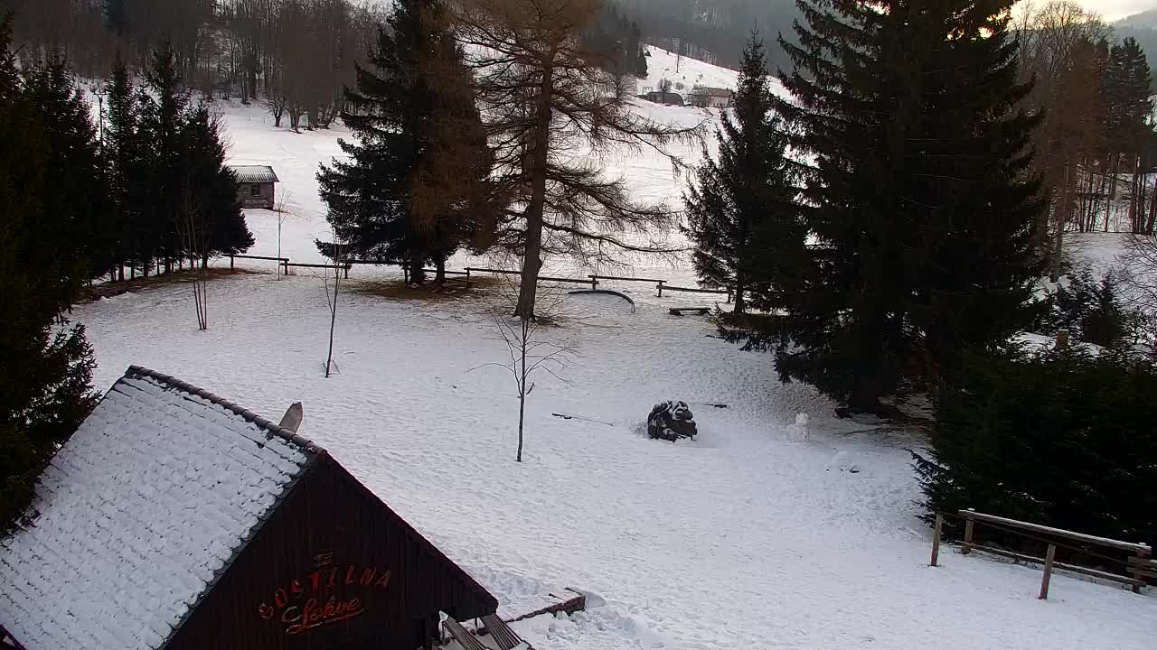 Webcam Loqua / Lokve – La bellezza della selva di Tarnova