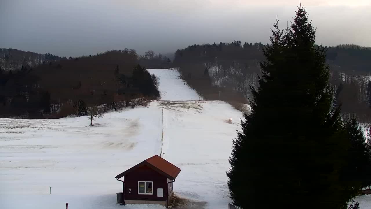 Webcam Loqua / Lokve – La bellezza della selva di Tarnova