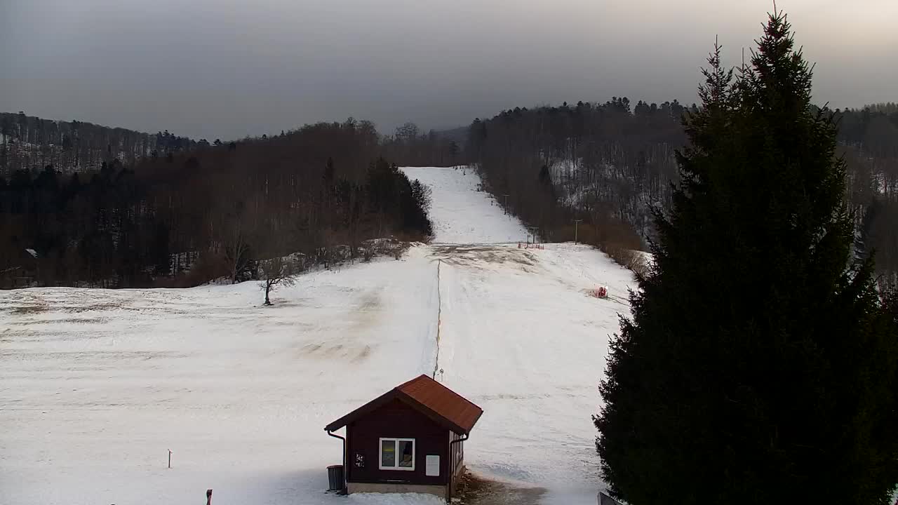 Webcam Loqua / Lokve – La bellezza della selva di Tarnova